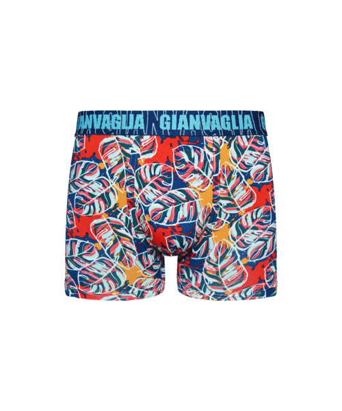5 pack Gianvaglia Heren Boxershorts "Botanica" 5067.