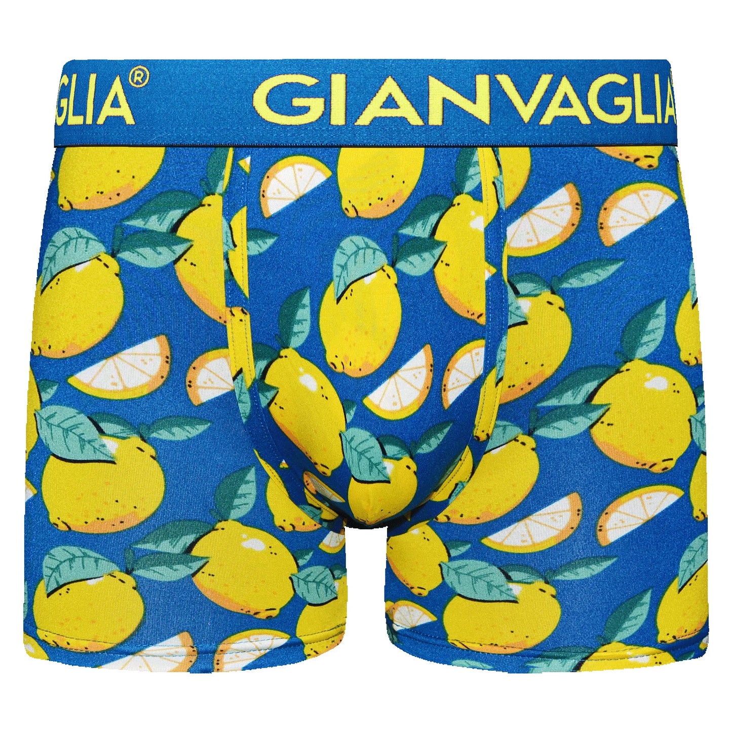 GIANVAGLIA® Deluxe Boxer en coton pour hommes, lot de 5